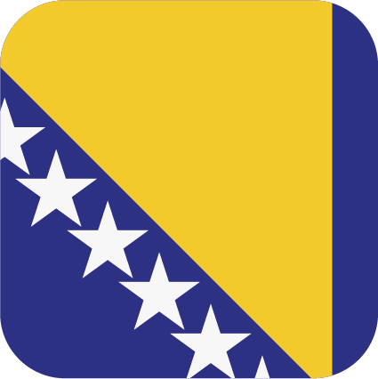 Bosnian Flag