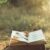 Book,Of,Poetry,Outdoors,With,Flower,On,It Book,Of,Poetry,Outdoors,With,Flower,On,It